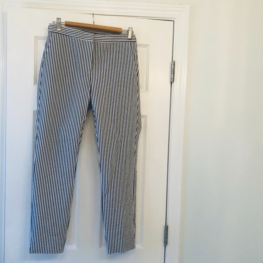 Zara Blue and White Pinstripe Pants Size Medium